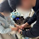 키즈카부릉부릉 화동카 대여 | 9개월 아기 화동 후기 벤틀리 화동카