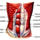 코어피트니스 1호점 이미지