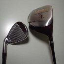 골프사랑 이미지