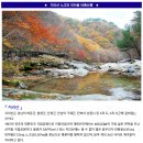 ♣10/28(토)지리산 노고단 피아골 붉은 단풍산행 이미지