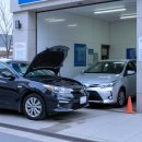 오늘은 특별하개 이미지