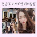 상신사거리(서부대로) | 천안 신방동 미용실 화이트레빗 헤어살롱 중단발 볼륨매직 대만족