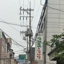 심동리산채순대