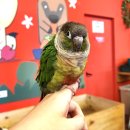 미사강변스타힐스.단독주택1단지(28462) | 미사 키즈카페 베스트 10 순위 추천