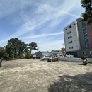 안순네밥집 이미지