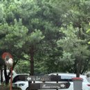 UR(포천시)-[화동로]-상-1 | [포천] 파인트리 글램핑 숙박 후기 / 스파 카라반 / 7월 / 내돈내산 후기 / 포천이동갈비직판장