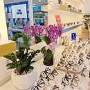 해오름안경원 이미지