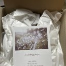 안전한 화장품, 예수진화장품제작소에서 만든 바디로션 후기
