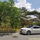 3G렌트카 이미지