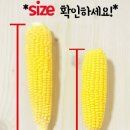 초당농산 영농조합법인