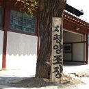 디자인지평 | 새콤달콤한 신상 프리미엄 막걸리 추천 지평탁주 후기