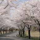 회룡대 별장펜션 이미지