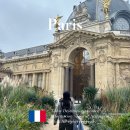 시립미술관 | 파리 미술관 추천 무료입장 시립미술관 쁘띠 팔레 후기