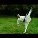 ﻿Shaolin Kung Fu: 36-move staff 이미지