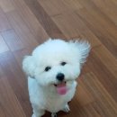 케이엠행정사사무소 이미지