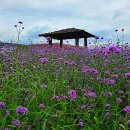 드림파크 이미지