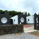 1037 | 제주도 동쪽 성산근처 서귀포 삼달리 감성숙소 추천 가성비 끝판왕 테라스 독채 펜션 달1037 숙박 후기