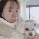 해변별장여관 이미지