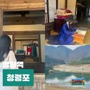 11545-03-31-42 | 영월 청령포 왕과사는남자 단종문화제 관음송 단종 유배지 대기줄 기차 할인