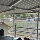 거금마루 이미지