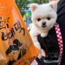 베토디 과카몰레, 언박싱, 파주 조은도너츠, 모더니 신혼 혼수 그릇, 피스피스 출판단지점, 광장시장)