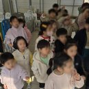 용인대 남양 태권도장 이미지