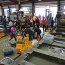 진도종합수산 이미지