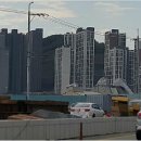 신평동1124 이미지