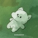 디어베어켄넬 이미지