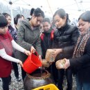 압촌메주영농조합 이미지