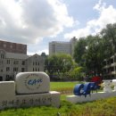 중앙대학교 사회복지대학원 이미지