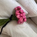 서리풀4길 25 (1) | wedding#7. 두근두근 웨딩촬영기💍(헤이허니/오아시스필름/우아르웨딩/소공/요닝/오월의여름)