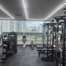 영바디짐 이미지