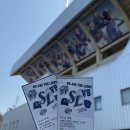 31140-8-26-5 | 삼성라이온즈 라팍 캠핑존 잔디석 가격, 3루 내야지정석 8구역 26열 시야 시범경기 후기