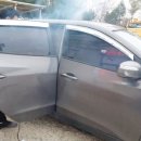 국가대표 호아 태권도 이미지