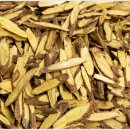 터미널 안경 이미지