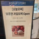 메디캐슬 | 동탄 롯데백화점 오늘모찌 후기 그 외 2월 팝업 정보