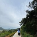 씨유 고창아산점 | 고창 가볼만한곳 철쭉 고창읍성 방문 후기
