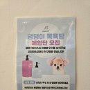 댕댕이 목욕탕 | 댕댕이목욕탕 방문후기❤️