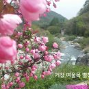 여울목별장 이미지