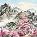 연분홍