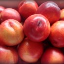 캔들웨이 이미지