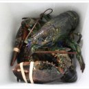 (주)박상 이미지