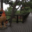 선운사의추억 이미지