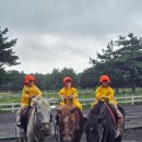 승마장 | 🐴 제주 송당승마장 어린이 승마체험 후기