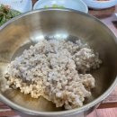 보리밥 [麥飯] 이미지