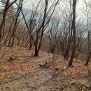 시산민박 이미지