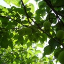 농산물종합유통센터 이미지