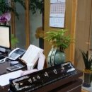 유화(야간) 이미지