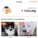 냥스터치 이미지